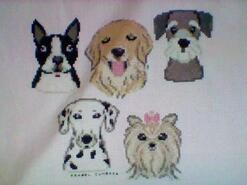 Cross stitch square for Josie-Mae J's quilt