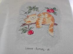 Cross stitch square for Josie-Mae J's quilt