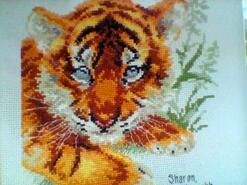 Cross stitch square for Archie B's quilt