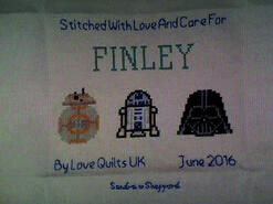Cross stitch square for Finley R's quilt
