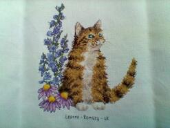 Cross stitch square for Jodie N's quilt