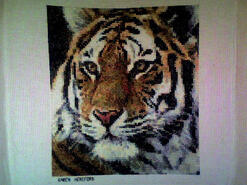 Cross stitch square for Jacob R's quilt