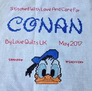 Cross stitch square for Conan H's quilt