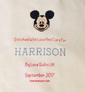 Cross stitch square for Harrison U's quilt