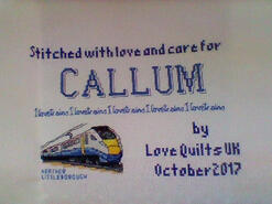 Cross stitch square for Callum B's quilt