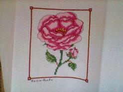 Cross stitch square for Calleigh C's quilt