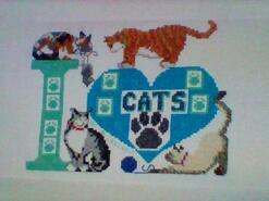 Cross stitch square for Noah H's quilt