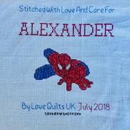 Cross stitch square for Alexander's quilt