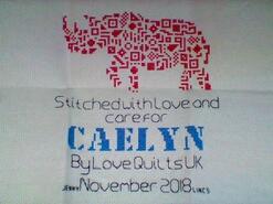Cross stitch square for Caelyn T's quilt