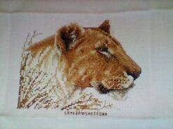 Cross stitch square for Caelyn T's quilt