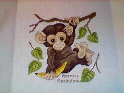 Cross stitch square for Caelyn T's quilt