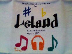 Cross stitch square for Leland's quilt