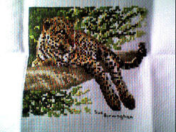 Cross stitch square for Amelia E's quilt