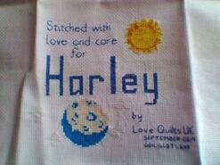 Cross stitch square for Harley W's quilt