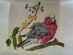 Cross stitch square for Kobi B's quilt
