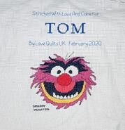 Cross stitch square for Tom B's quilt