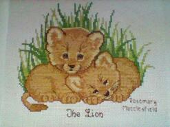 Cross stitch square for Noah D's quilt