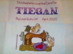 Cross stitch square for Tiegan G's quilt