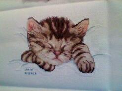 Cross stitch square for Tiegan G's quilt