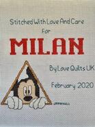 Cross stitch square for Milan's quilt