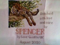 Cross stitch square for Spencer R's quilt