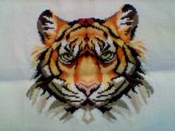Cross stitch square for Spencer R's quilt