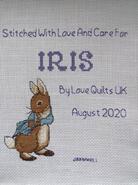 Cross stitch square for Iris C's quilt