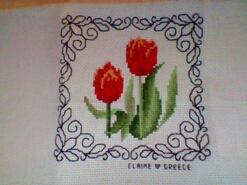Cross stitch square for Grace B's quilt
