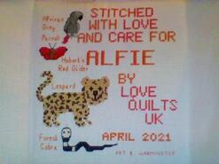 Cross stitch square for Alfie J's quilt