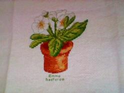 Cross stitch square for Primrose M's quilt