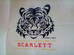 Cross stitch square for Scarlett M's quilt