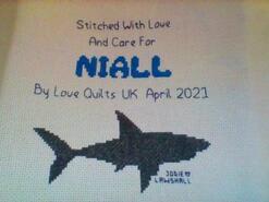 Cross stitch square for Niall B's quilt