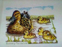 Cross stitch square for Jack C's quilt