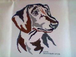 Cross stitch square for Riley S's quilt