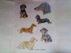 Cross stitch square for Riley S's quilt