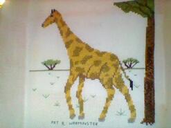 Cross stitch square for Charlie J's quilt