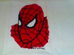 Cross stitch square for Preston S's quilt