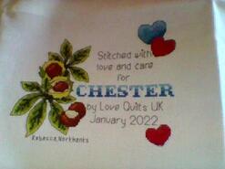Cross stitch square for Chester J's quilt
