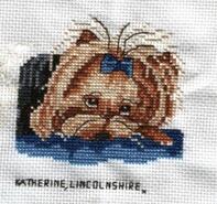 Cross stitch square for Emily Jo's quilt