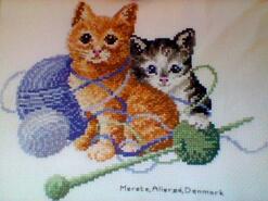 Cross stitch square for Jake B's quilt