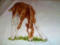 Cross stitch square for Makayla N's quilt