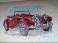 Cross stitch square for Archie H's quilt