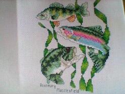 Cross stitch square for Connor S's quilt