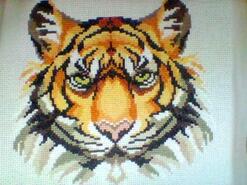 Cross stitch square for Myles H's quilt