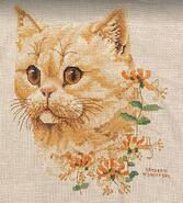 Cross stitch square for Evie E's quilt
