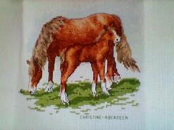 Cross stitch square for Oisin T's quilt