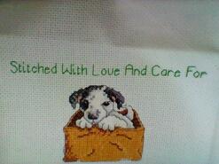 Cross stitch square for Maxine's quilt