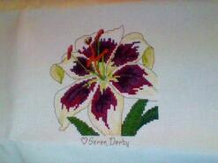 Cross stitch square for Lillie D's quilt