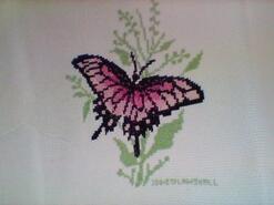 Cross stitch square for Layla B's quilt