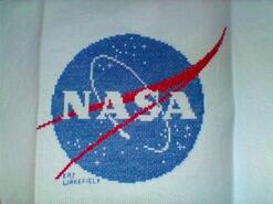 Cross stitch square for Charlie M's quilt